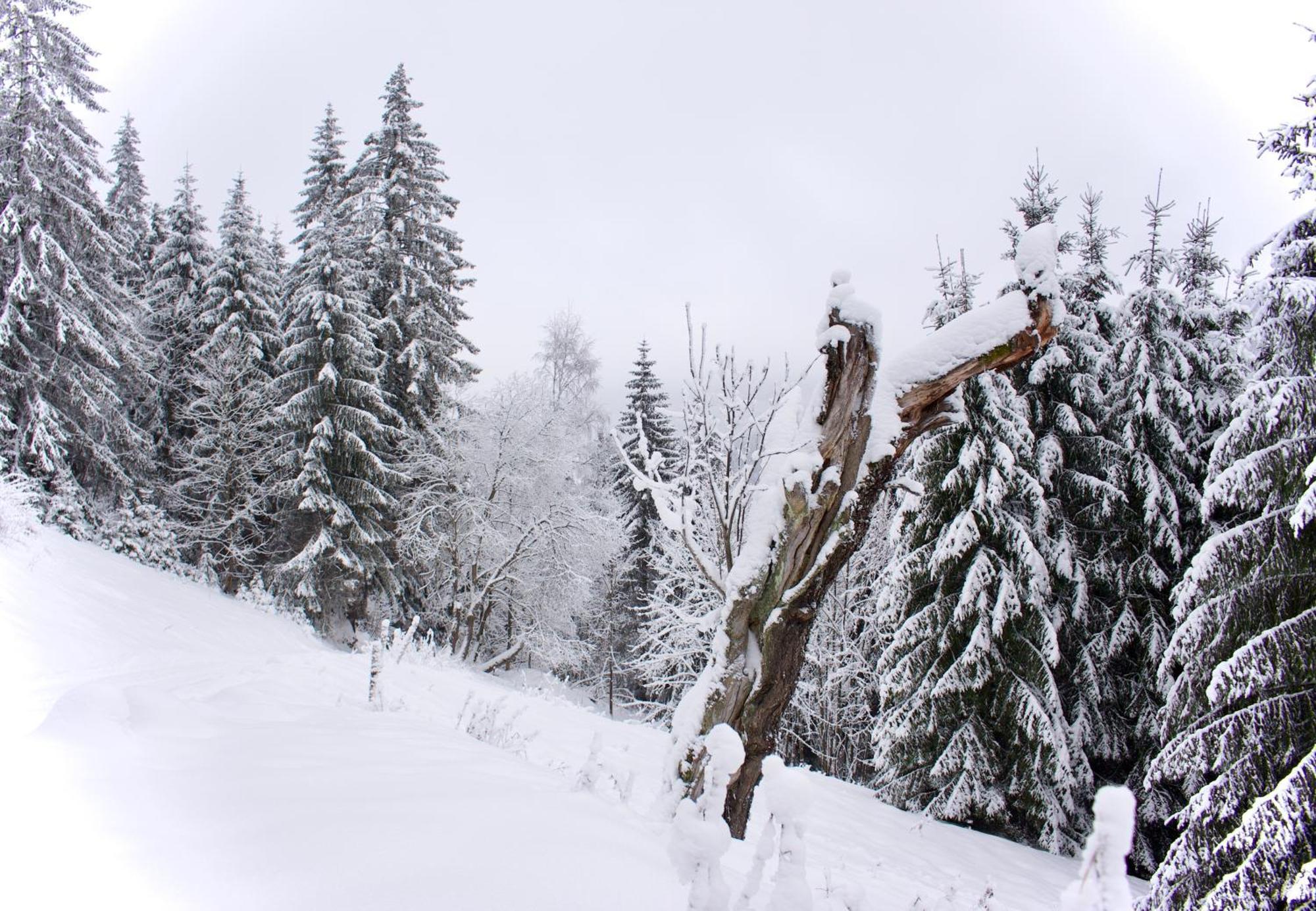 Horska Mamut Chalet Dolni Mala Upa